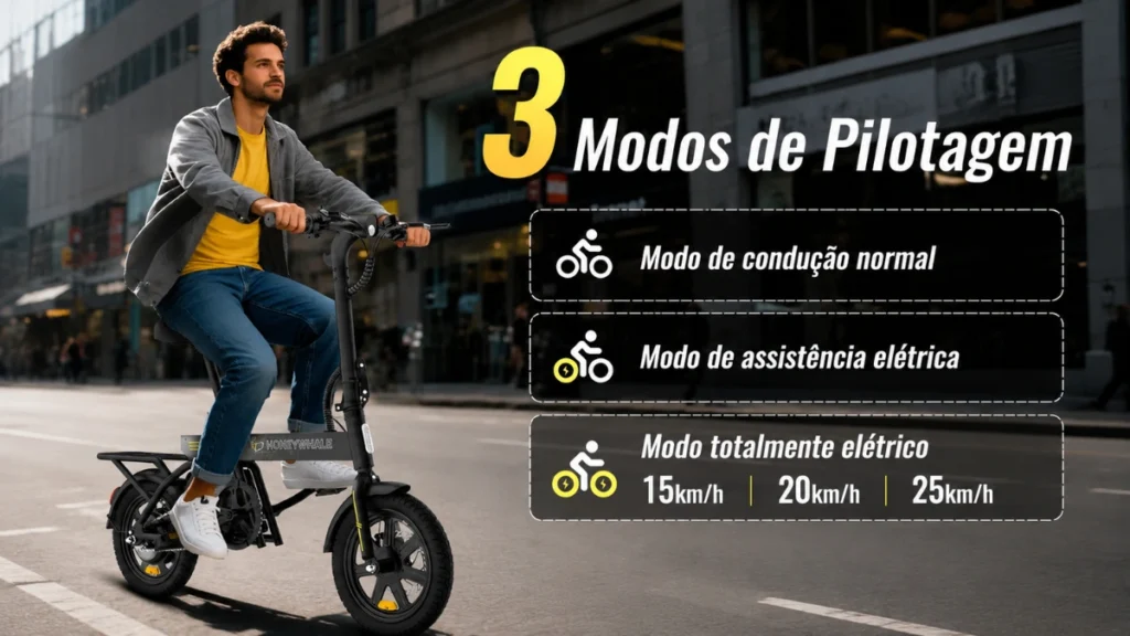 Honeywhale B20 Bicicleta Elétrica